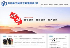 尼木城市开发投资集团有限公司