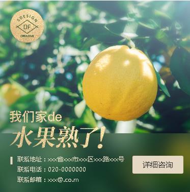 尼木果园果林小程序开发